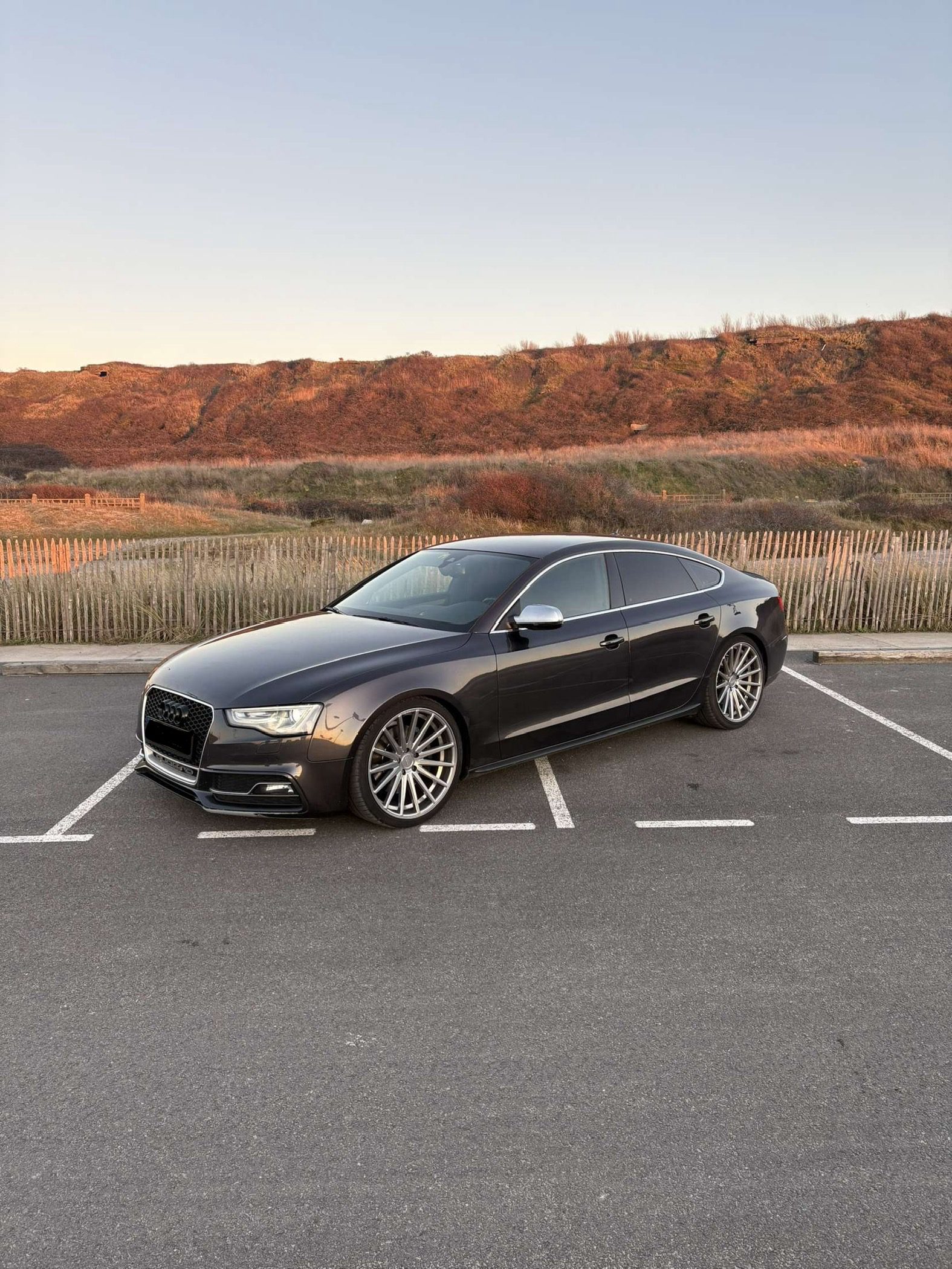 Audi S5 phase 2 3.0 TFSI V6 24V