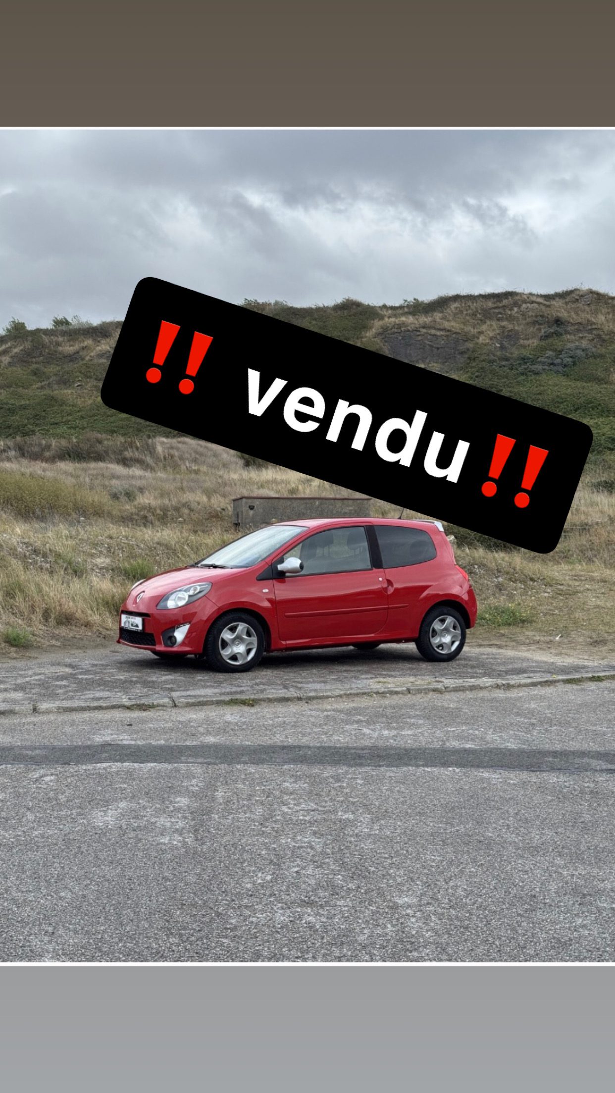 Renault Twingo rip curl